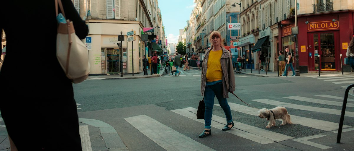 A person walking a dog on a city street